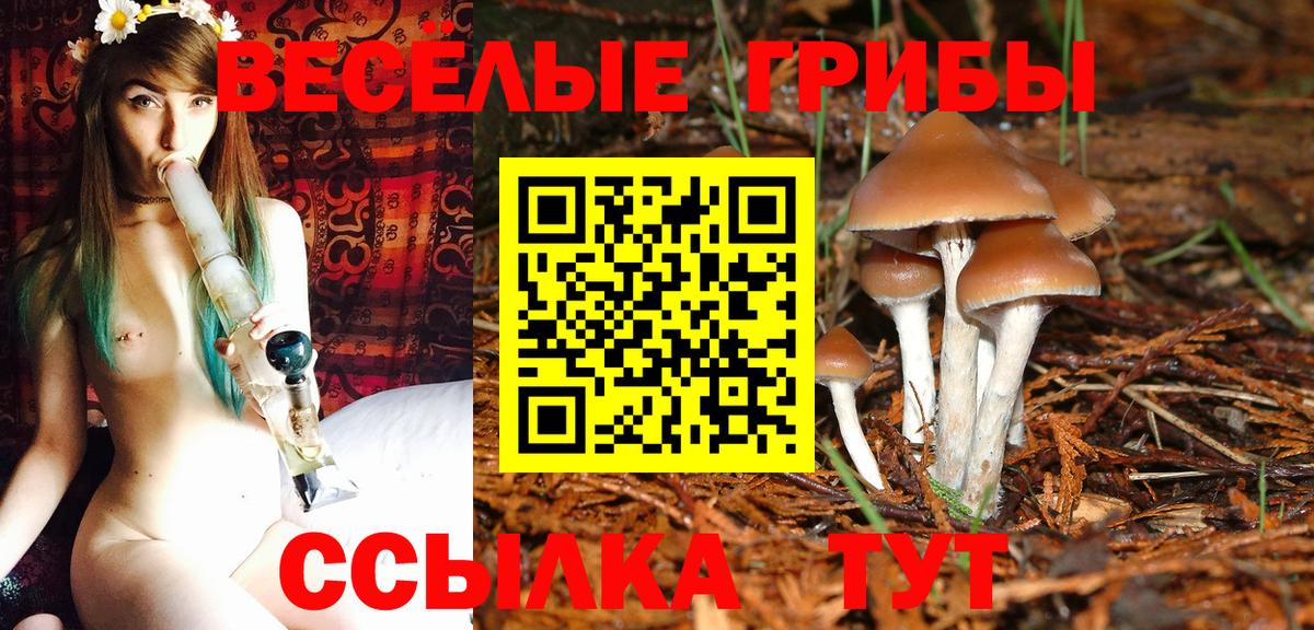 Псилоцибиновые грибы ЛСД  Псилоцибиновые грибы прущие грибы  Вход с VPN  Красноармейск 